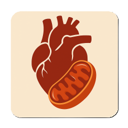Mitochondrial Dysfunction